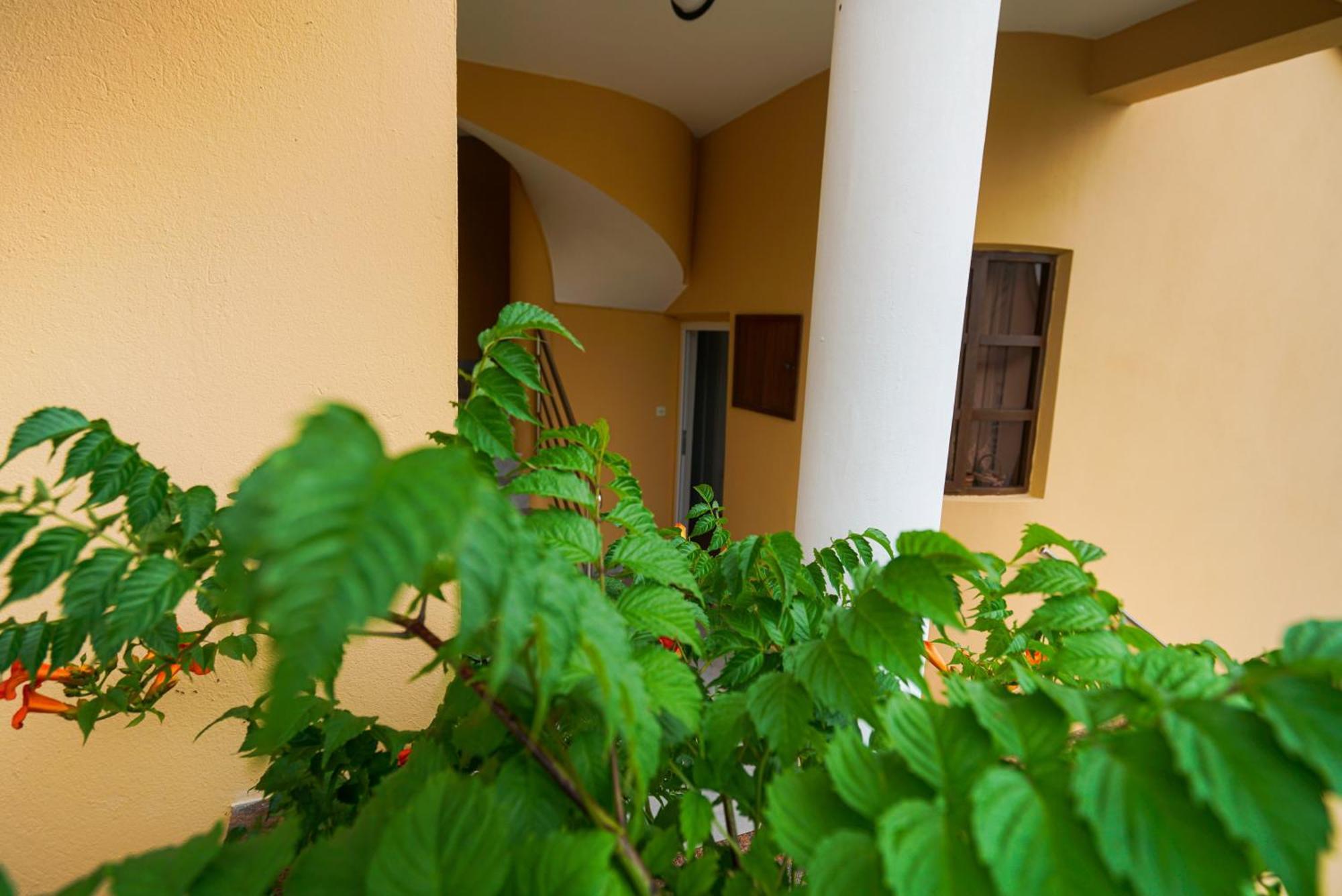 Apartments Osljak Preko Extérieur photo