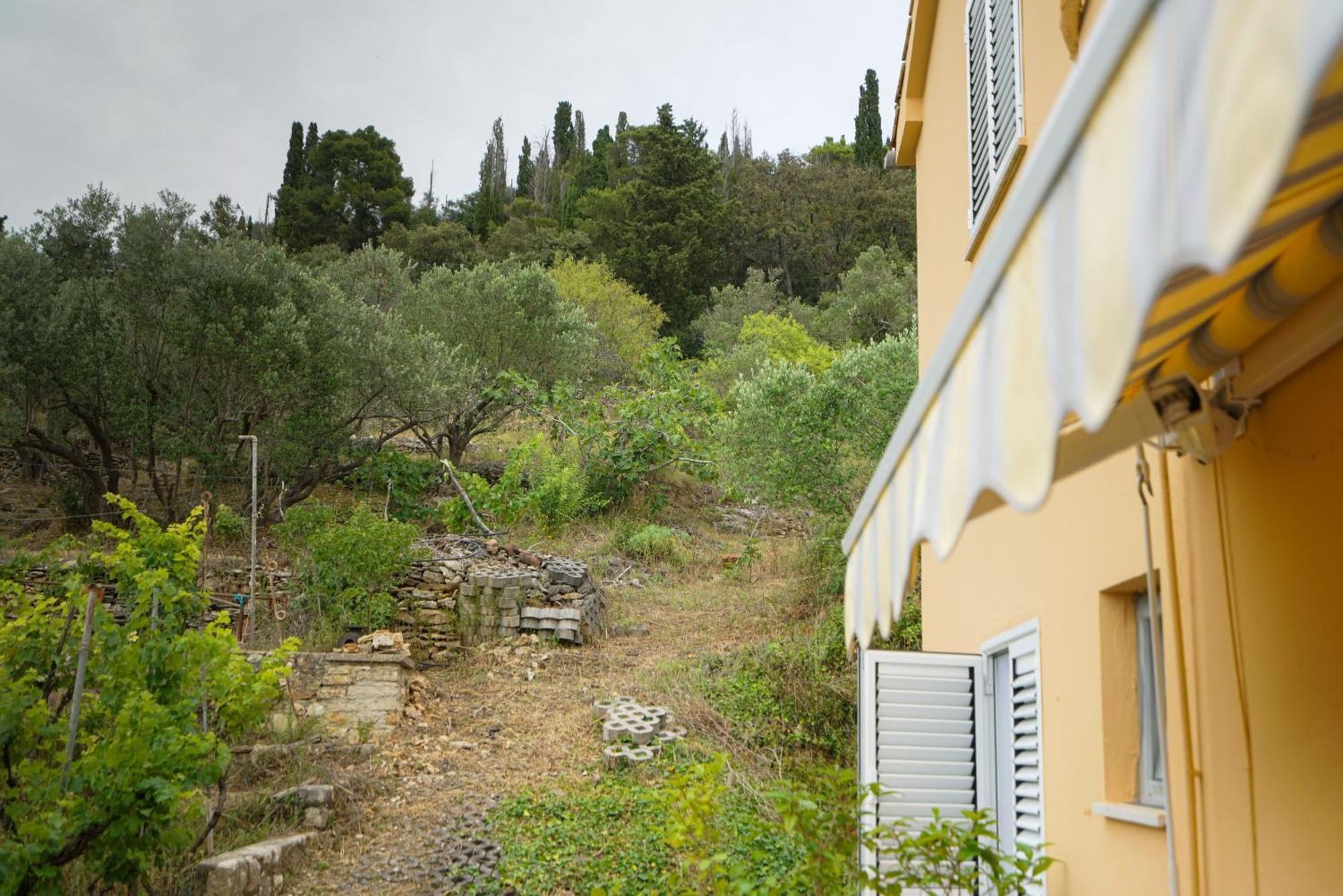 Apartments Osljak Preko Extérieur photo